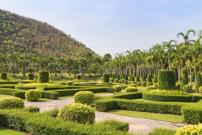 Landscape with Neatly Maintained Shrubs